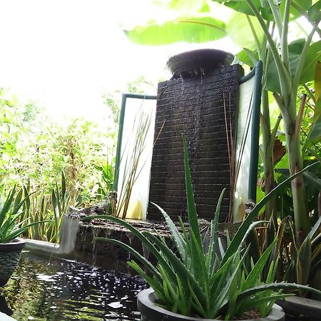 Jassri Homestay Pemuteran Exterior foto